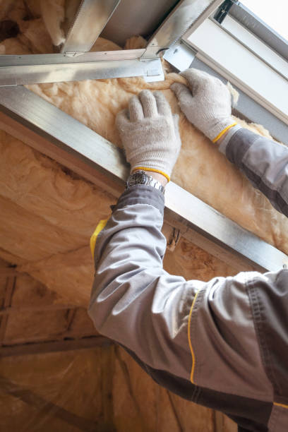 Best Geographic-Specific Insulation Services in Munfordville, KY
