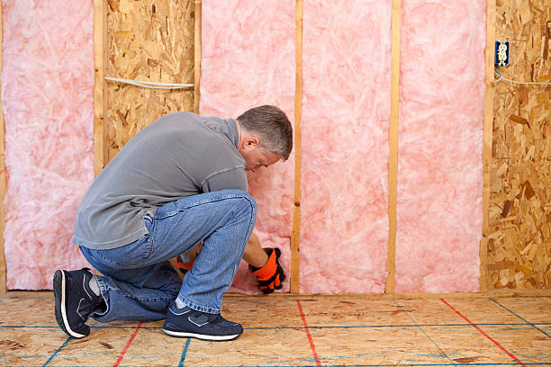 Best Commercial Insulation in Munfordville, KY