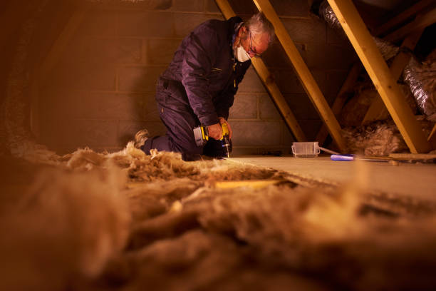 Best Cellulose Insulation in Munfordville, KY