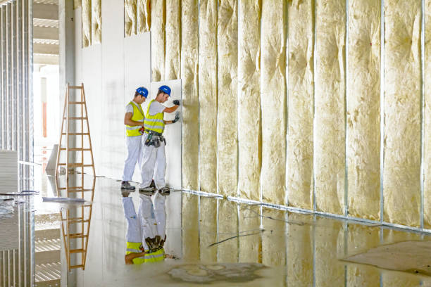 Best Fiberglass Insulation in Munfordville, KY